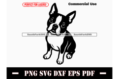 Boston Terrier Dog Begging Design SVG PNG DXF EPS PDF Product Image 1