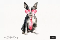 Valentine Boston Terrier Dog PNG | Valentine's Day Clipart Product Image 1