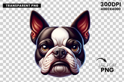 boston terrier clipart, boston terrier png, dog clipart, dog png, sublimation design, sarcastic dog art, pet clipart, funny animal png, dog lover gift, printable clipart