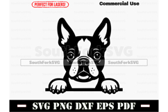 Peeking Boston Terrier Dog SVG PNG DXF EPS PDF Product Image 1