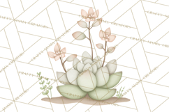 Botanical Clipart Leaves Flowers Succulents Branches PNG Product Image 2