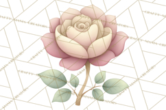 Botanical Clipart Leaves Flowers Succulents Branches PNG Product Image 5