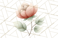 Botanical Clipart Leaves Flowers Succulents Branches PNG Product Image 4
