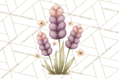 Botanical Clipart Leaves Flowers Succulents Branches PNG Product Image 3