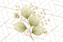 Botanical Clipart Leaves Flowers Succulents Branches PNG Product Image 5