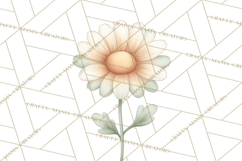 Botanical Clipart Leaves Flowers Succulents Branches PNG Product Image 2