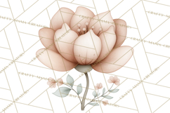 Botanical Clipart Leaves Flowers Succulents Branches PNG Product Image 4
