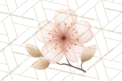 Botanical Clipart Leaves Flowers Succulents Branches PNG Product Image 5