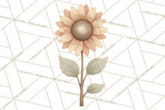 Botanical Clipart Leaves Flowers Succulents Branches PNG Product Image 2