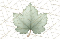 Botanical Clipart Leaves Flowers Succulents Branches PNG Product Image 3