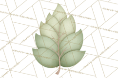 Botanical Clipart Leaves Flowers Succulents Branches PNG Product Image 4