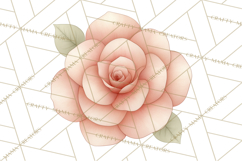 Botanical Clipart Leaves Flowers Succulents Branches PNG Product Image 3