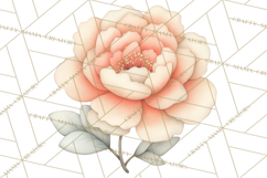 Botanical Clipart Leaves Flowers Succulents Branches PNG Product Image 4