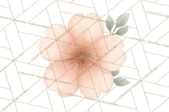 Botanical Clipart Leaves Flowers Succulents Branches PNG Product Image 2
