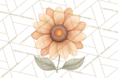 Botanical Clipart Leaves Flowers Succulents Branches PNG Product Image 4