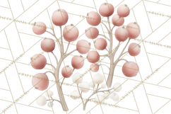 Botanical Clipart Leaves Flowers Succulents Branches PNG Product Image 5