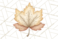 Botanical Clipart Leaves Flowers Succulents Branches PNG Product Image 2