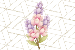 Botanical Clipart Leaves Flowers Succulents Branches PNG Product Image 3
