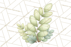Botanical Clipart Leaves Flowers Succulents Branches PNG Product Image 2