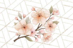 Botanical Clipart Leaves Flowers Succulents Branches PNG Product Image 3