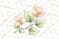 Botanical Clipart Leaves Flowers Succulents Branches PNG Product Image 2