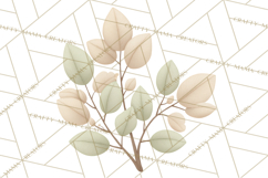 Botanical Clipart Leaves Flowers Succulents Branches PNG Product Image 5