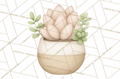 Botanical Clipart Leaves Flowers Succulents Branches PNG Product Image 2