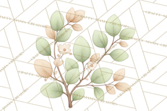 Botanical Clipart Leaves Flowers Succulents Branches PNG Product Image 4