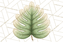 Botanical Clipart Leaves Flowers Succulents Branches PNG Product Image 5