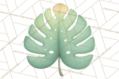 Botanical Clipart Leaves Flowers Succulents Branches PNG Product Image 3