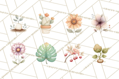 Botanical Clipart Leaves Flowers Succulents Branches PNG Product Image 8