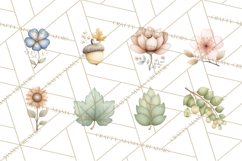 Botanical Clipart Leaves Flowers Succulents Branches PNG Product Image 7