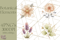 Botanical Clipart Leaves Flowers Succulents Branches PNG Product Image 1