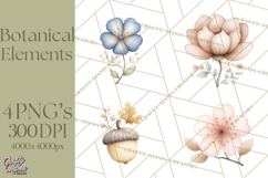 Botanical Clipart Leaves Flowers Succulents Branches PNG Product Image 1
