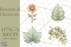 Botanical Clipart Leaves Flowers Succulents Branches PNG Product Image 1
