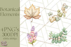 Botanical Clipart Leaves Flowers Succulents Branches PNG Product Image 1
