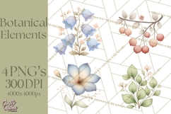 Botanical Clipart Leaves Flowers Succulents Branches PNG Product Image 1