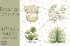 Botanical Clipart Leaves Flowers Succulents Branches PNG Product Image 1