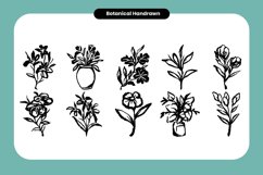 Botanical Handrawn Product Image 2