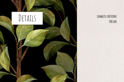 Hand-Drawn Botanical Leaves Pattern Set Product Image 4