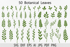 Botanical leaves svg bundle Green foliage Greenery svg Product Image 1