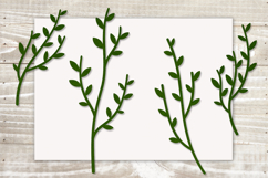 Botanical leaves svg bundle Green foliage Greenery svg Product Image 3