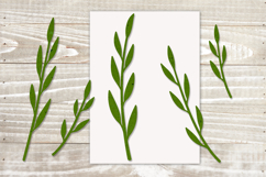 Botanical leaves svg bundle Green foliage Greenery svg Product Image 4