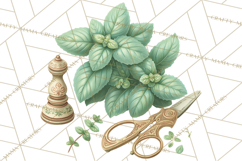 Botanical Cottage Pantry Clipart with Rustic Kitchen Herbs Product Image 4