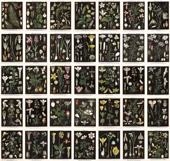 Vintage German Black Botanical Plates Bundle Product Image 2