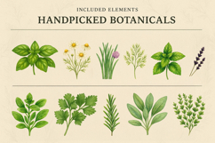 The Witch&#039;s Apothecary Watercolor Clipart Collection Product Image 2