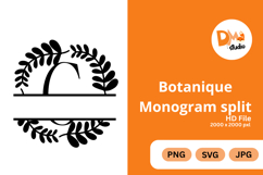 Botanique Monogram Split - Elegant Floral Letter Frames Product Image 1