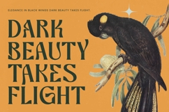 Bottarie - Freestyle Display Font Product Image 8