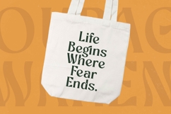 Bottarie - Freestyle Display Font Product Image 16