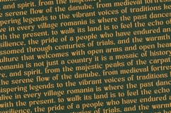 Bottarie - Freestyle Display Font Product Image 17